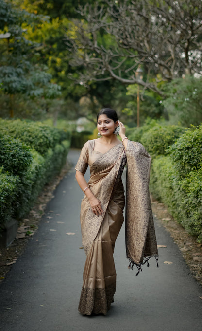 Cream Handloom Raw Silk Saree With Contrast Weaving Work