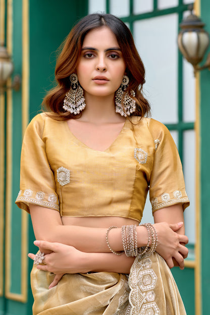 Beige Fancy Shimmer Chiffon Saree With Embroidery Work