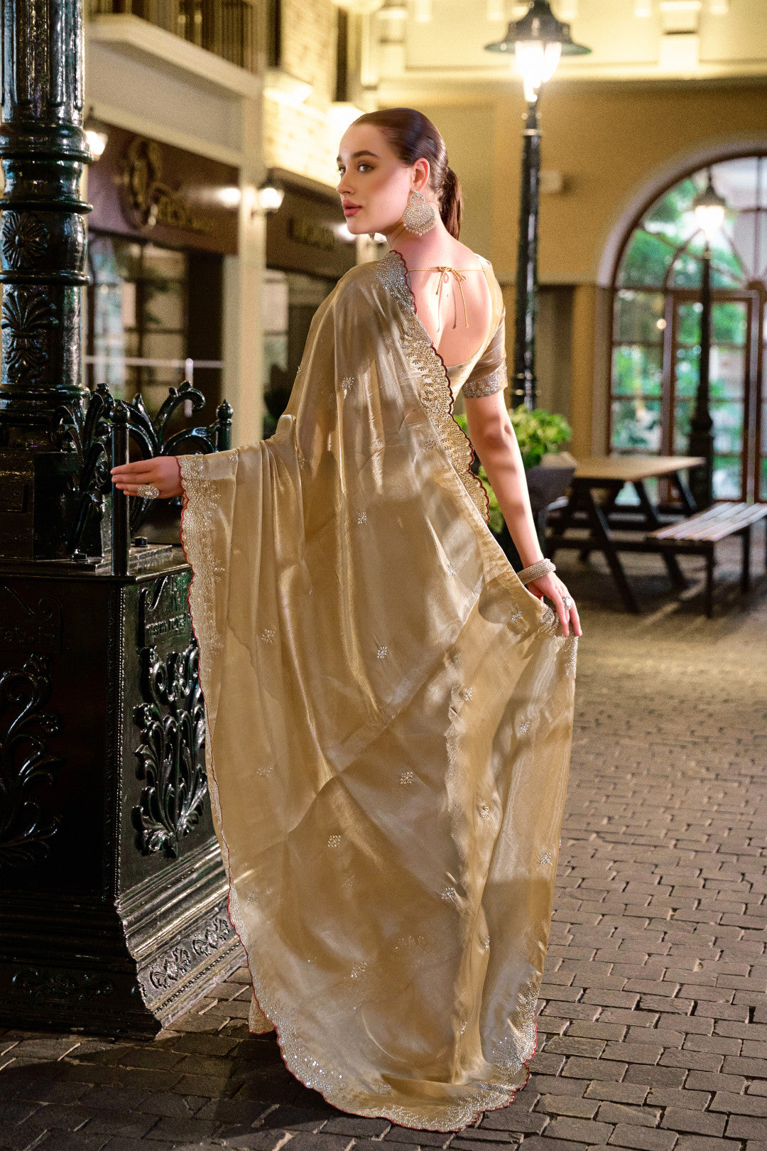 Beige Fancy Shimmer Chiffon Saree With Embroidery Work