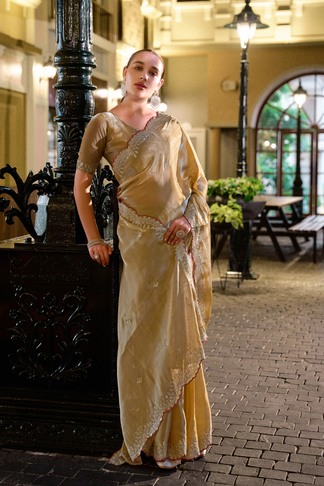 Beige Fancy Shimmer Chiffon Saree With Embroidery Work