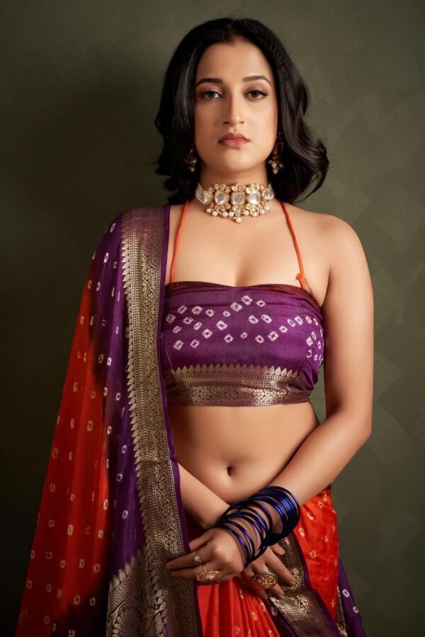 Multi Hand Bandhej Bandhani Saree With Zari Border