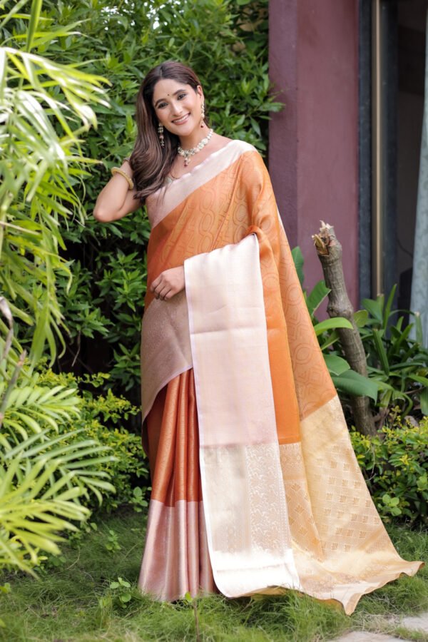 Red Banarasi Handloom Silk Saree With Zari Weaving Work